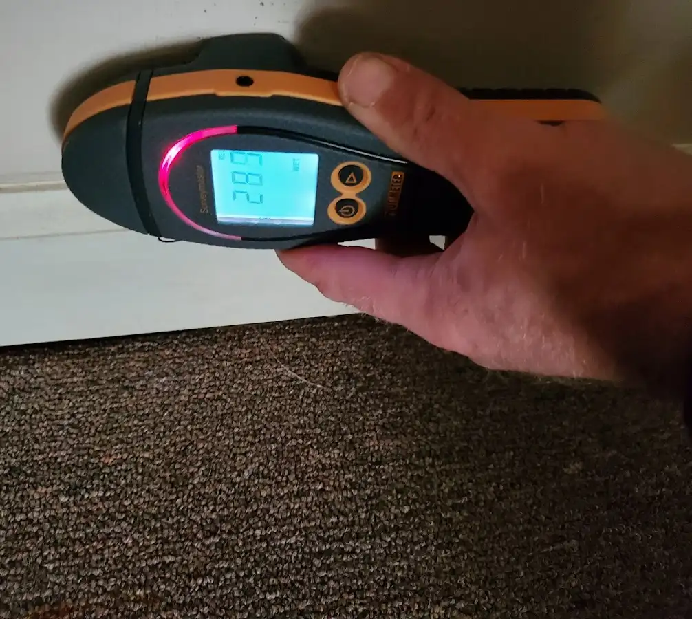 Moisture detection at baseboard during Sewage Cleanup & Sanitation in Freeport